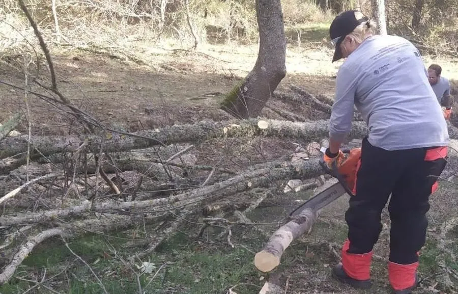 Foto 2 - Arrancan las pr&aacute;cticas en el monte de los alumnos de la acci&oacute;n de apeo de &aacute;rboles con motosierra