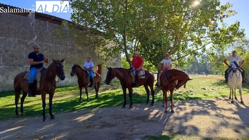 El presidente de la Junta de Castilla y León visita la I Semana Internacional de la Carne en Vitigudino