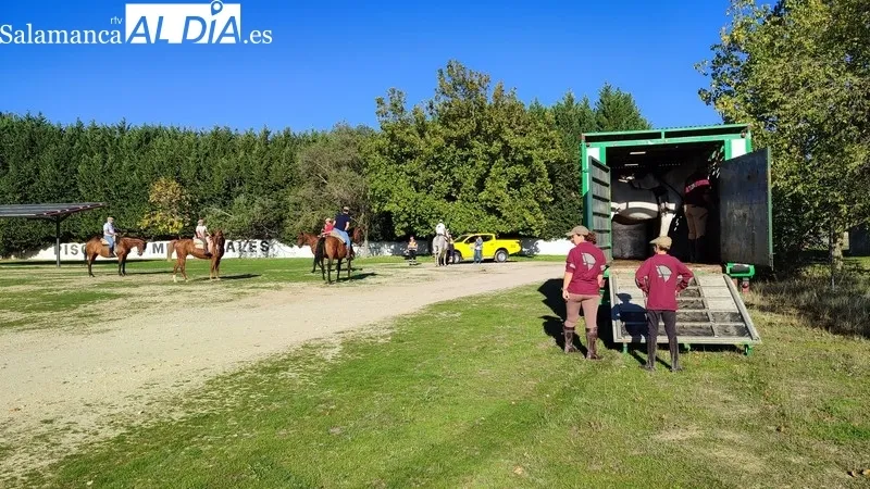 El presidente de la Junta de Castilla y León visita la I Semana Internacional de la Carne en Vitigudino