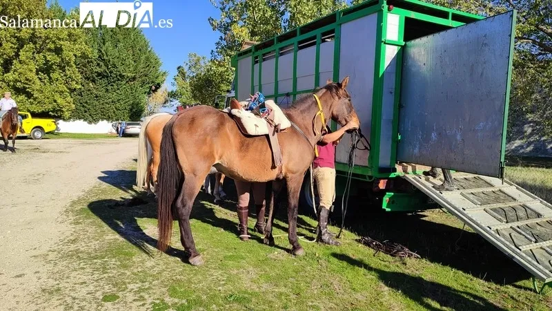 El presidente de la Junta de Castilla y León visita la I Semana Internacional de la Carne en Vitigudino
