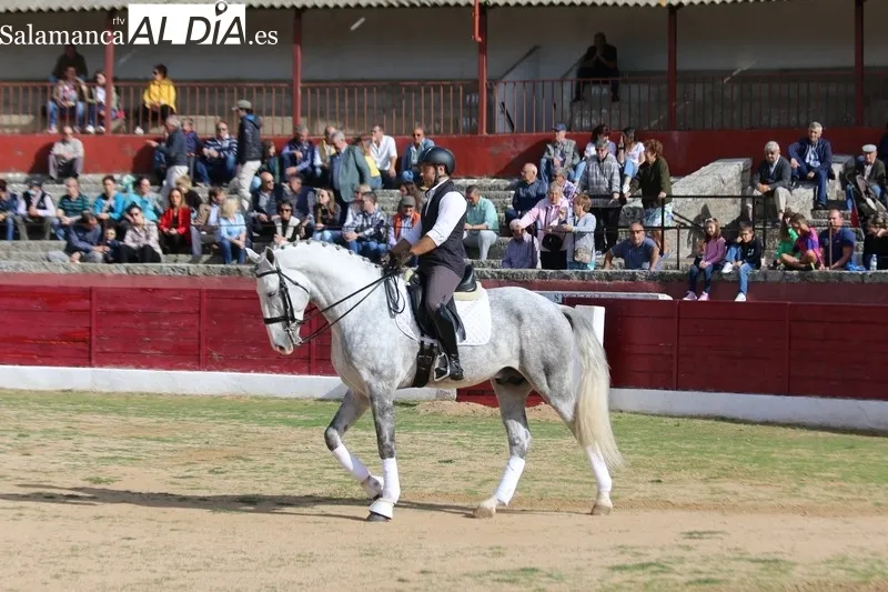 Exhibición de doma clásica y rejoneo en la clausura de la I Semana Internacional de la Carne en Vitigudino  / CORRAL 