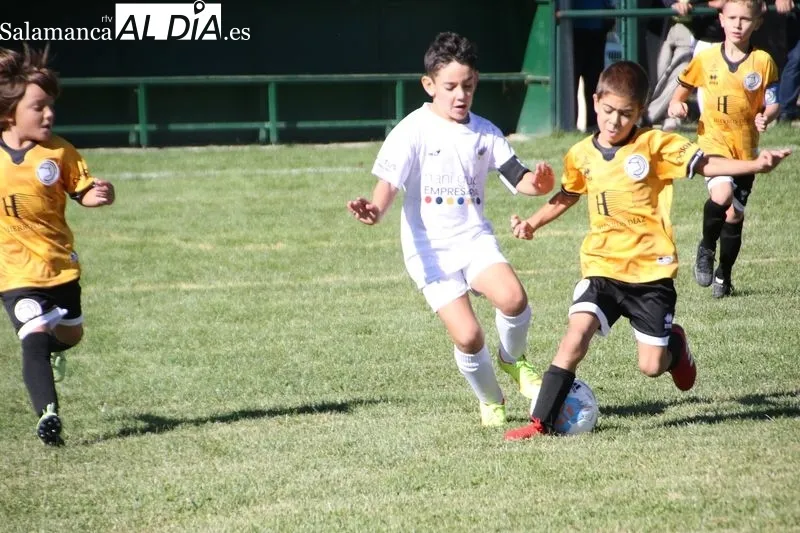 Foto 7 - Resultados de la jornada para el Alba de Tormes CF