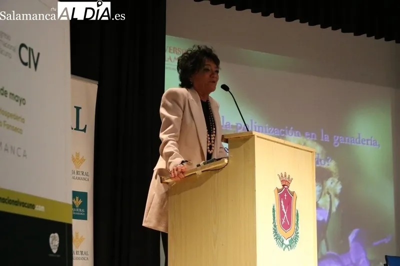 Primera jornada de ponencias y clase práctica en el CEIP Manuel Moreno con motivo de la I Semana Internacional de la Carne en Vitigudino / CORRAL  