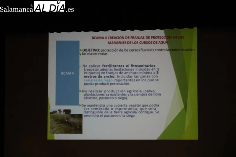 Asaja continúa su ciclo informativo sobre la PAC el día 20 en Peñaranda y Macotera  / CORRAL