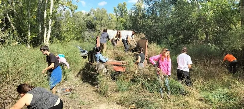 VoluntaTormes, programa de voluntariado ambiental de la Fundación Tormes EB
