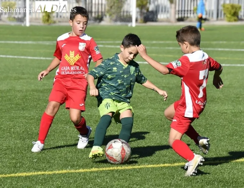 Galería de imágenes del regreso del fútbol base a Salamanca