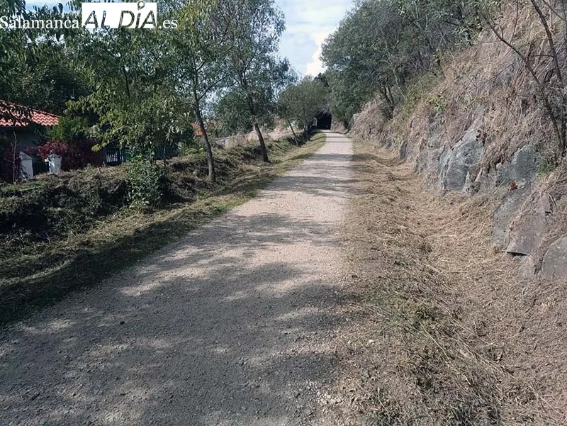 Foto 3 - El Ayuntamiento de B&eacute;jar acomete labores de limpieza en la v&iacute;a verde