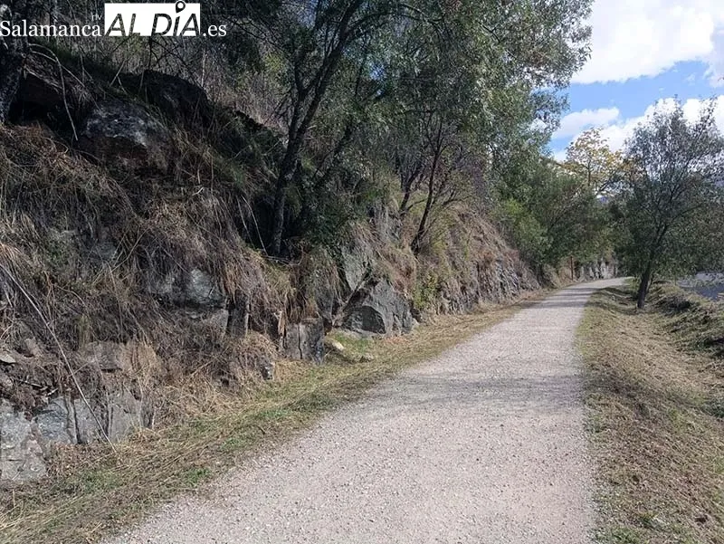 Foto 2 - El Ayuntamiento de B&eacute;jar acomete labores de limpieza en la v&iacute;a verde