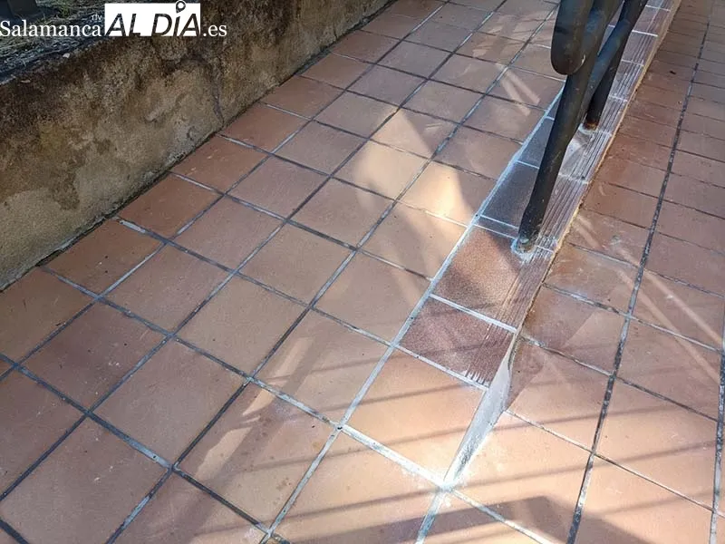Foto 2 - El Centro de Alzheimer de B&eacute;jar ve hechas realidad las mejoras de sus instalaciones