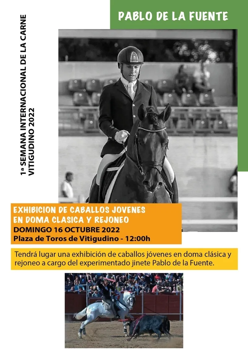 Foto 2 - El caballo ser&aacute; protagonista este fin de semana en Vitigudino