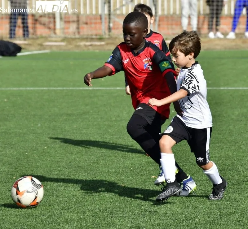 Galería de imágenes del fin de semana en el fútbol base provincial / Fotos: RTV