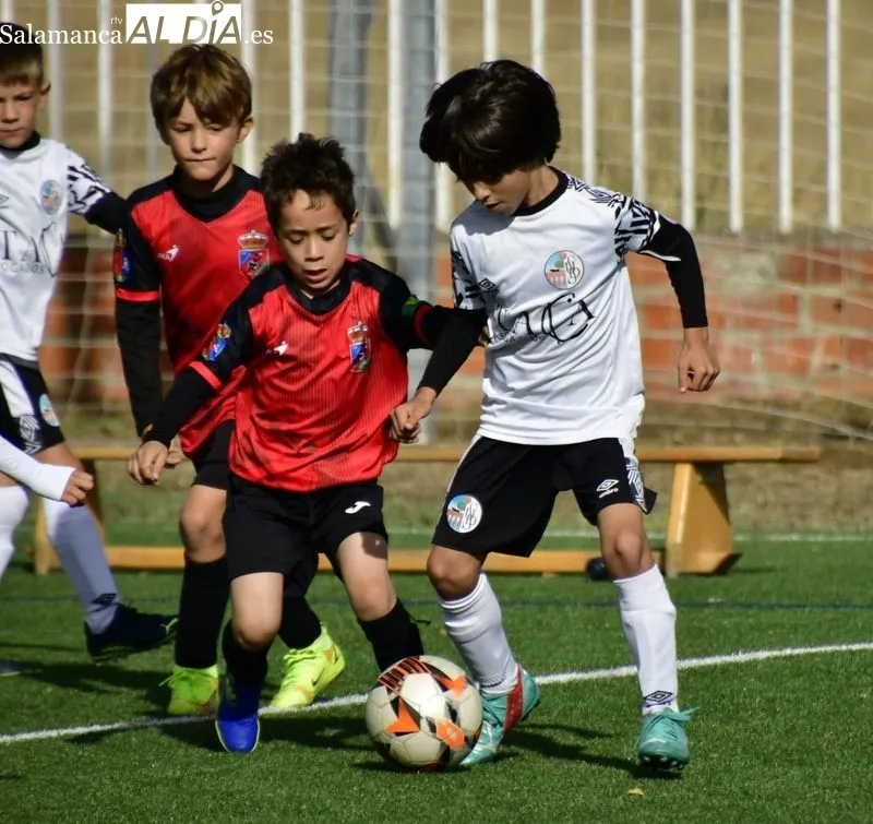 Galería de imágenes del fin de semana en el fútbol base provincial / Fotos: RTV