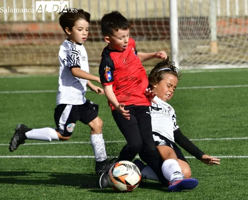 Galería de imágenes del fin de semana en el fútbol base provincial / Fotos: RTV