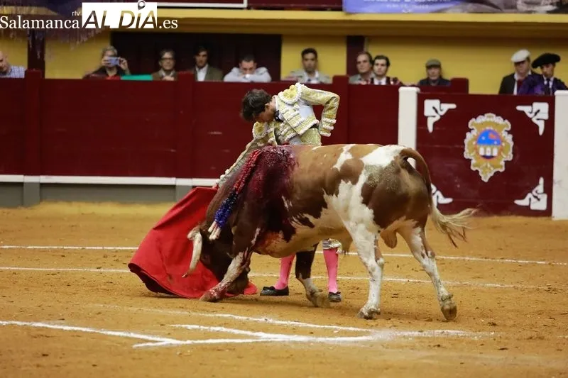 Foto 6 - So&ntilde;ada alternativa de Antonio Grande en Alba a hombros junto a Morante y Luque