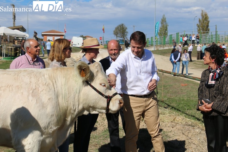 El presidente de la Junta de Castilla y León visita la I Semana Internacional de la Carne en Vitigudino