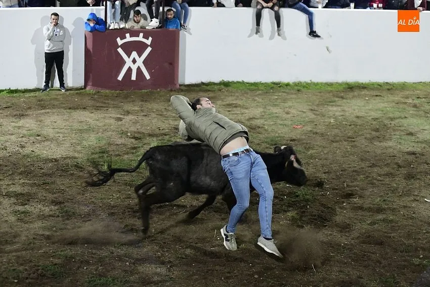 Las fiestas de Alba de Yeltes comezaron con una capea de vaquillas/ Fotos: Adrián M.Pastor