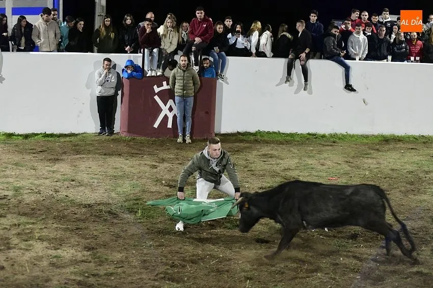 Las fiestas de Alba de Yeltes comezaron con una capea de vaquillas/ Fotos: Adrián M.Pastor