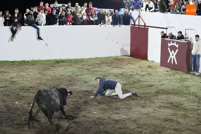 Las fiestas de Alba de Yeltes comezaron con una capea de vaquillas/ Fotos: Adrián M.Pastor