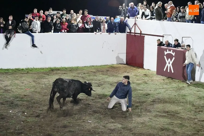 Las fiestas de Alba de Yeltes comezaron con una capea de vaquillas/ Fotos: Adrián M.Pastor