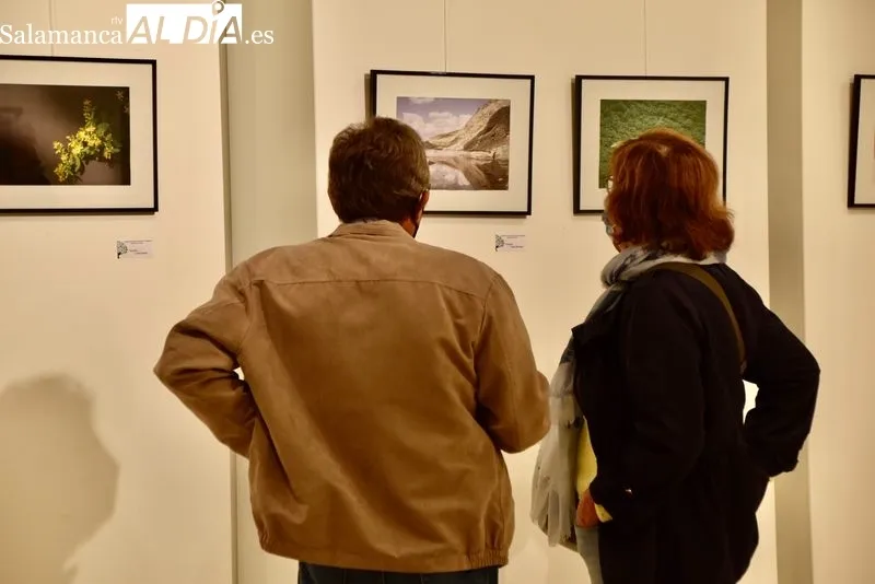 Exposición fotográfica de la Asociación de Vecinos La Aldehuela en el Centro Cultural Trujillo. Foto de Vanesa Martins