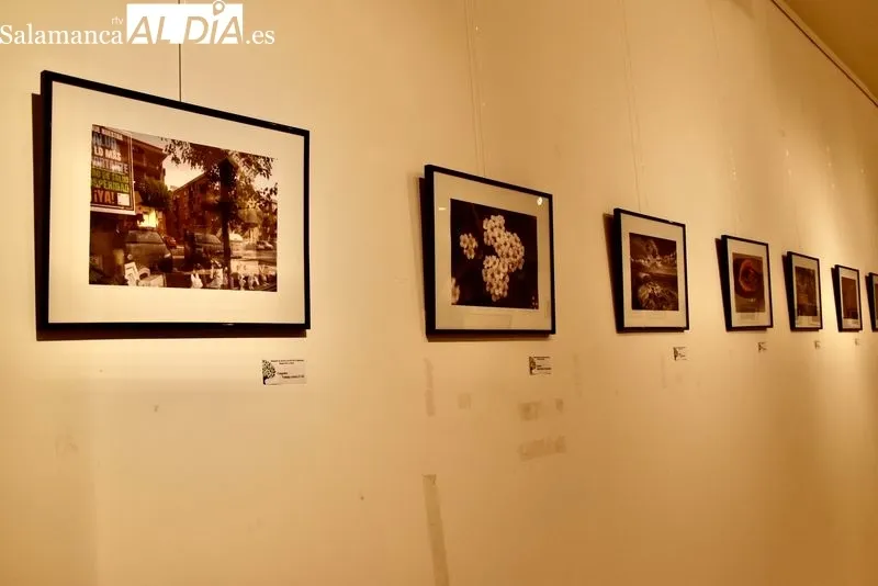 Exposición fotográfica de la Asociación de Vecinos La Aldehuela en el Centro Cultural Trujillo. Foto de Vanesa Martins