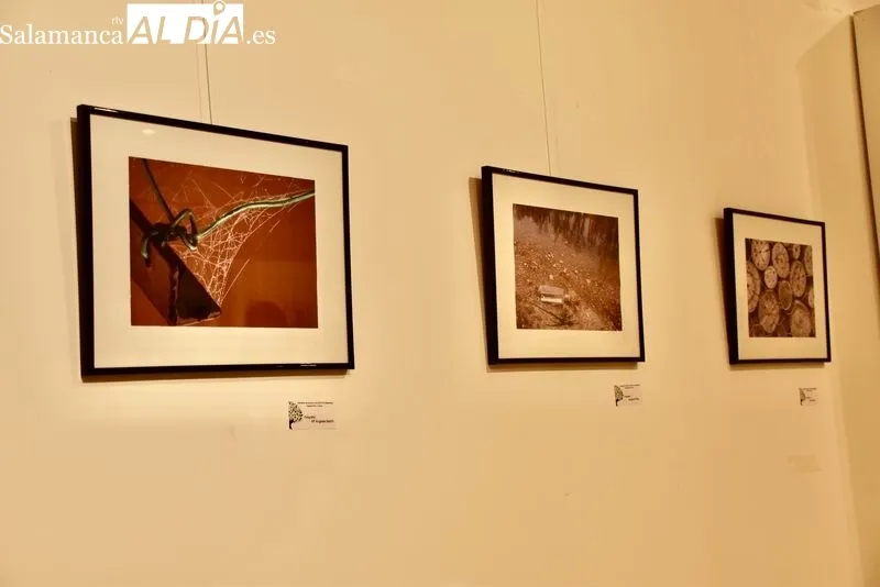 Exposición fotográfica de la Asociación de Vecinos La Aldehuela en el Centro Cultural Trujillo. Foto de Vanesa Martins