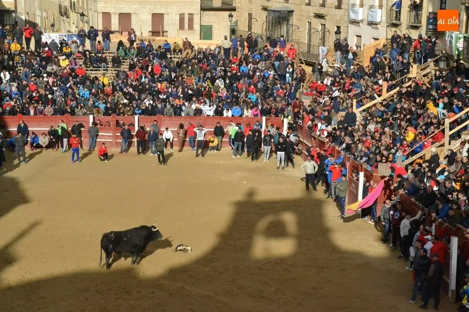 Foto 2 - Adjudicada a una empresa de Ja&eacute;n la impresi&oacute;n del Libro del Carnaval de 2023 y 2024