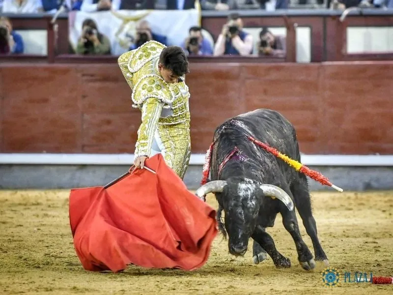 Certamen 'Camino hacia las Ventas'. Fotos: @LasVentas