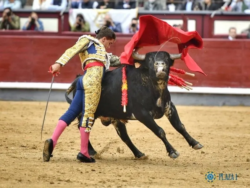 Certamen 'Camino hacia las Ventas'. Fotos: @LasVentas