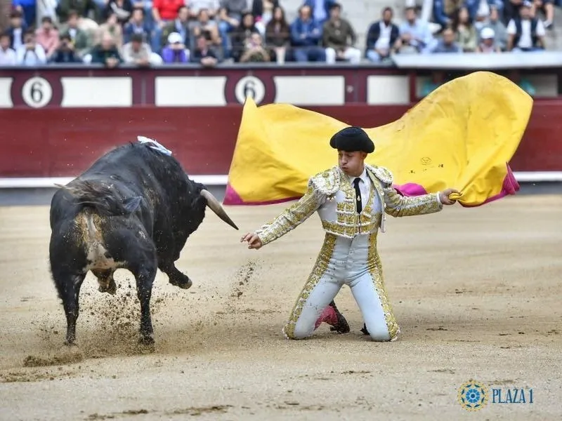 Certamen 'Camino hacia las Ventas'. Fotos: @LasVentas