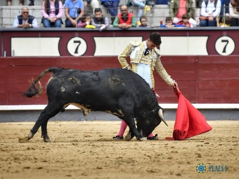 Certamen 'Camino hacia las Ventas'. Fotos: @LasVentas