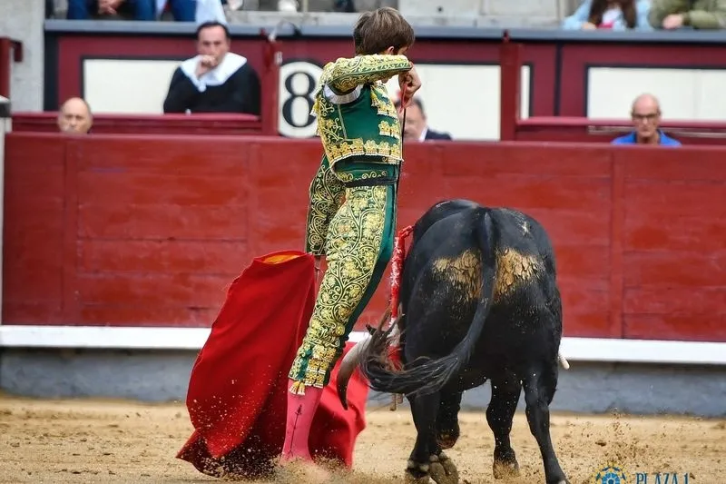 Certamen 'Camino hacia las Ventas'. Fotos: @LasVentas