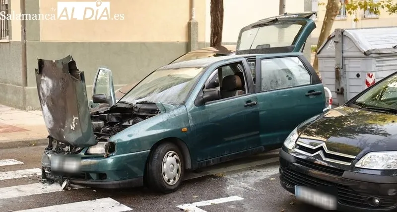 Vehículo calcinado tras un incendio en la calle Mirto, al lado de la avenida de Maristas. Foto de David Sañudo