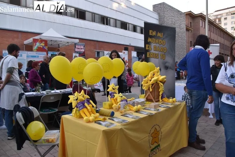 Feria de asociaciones y entidades 'Salamanca nos movemos' en el parque de La Alamedilla 