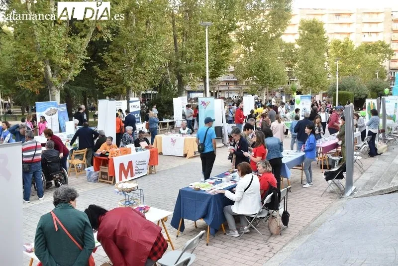 Feria de asociaciones y entidades 'Salamanca nos movemos' en el parque de La Alamedilla 