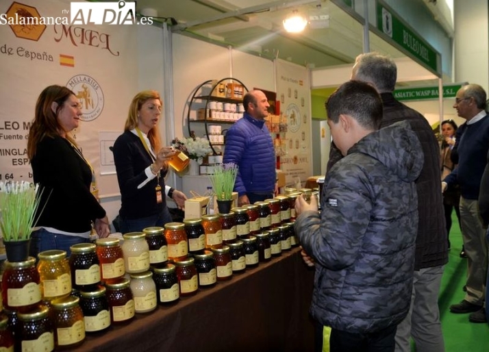 Feria de la Miel en Aldeatejada (Salamanca)