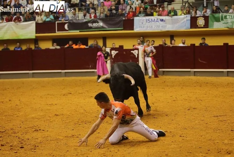 Foto 6 - &lsquo;Use&rsquo; gana el concurso de cortes de Alba de Tormes en una competida final&nbsp;