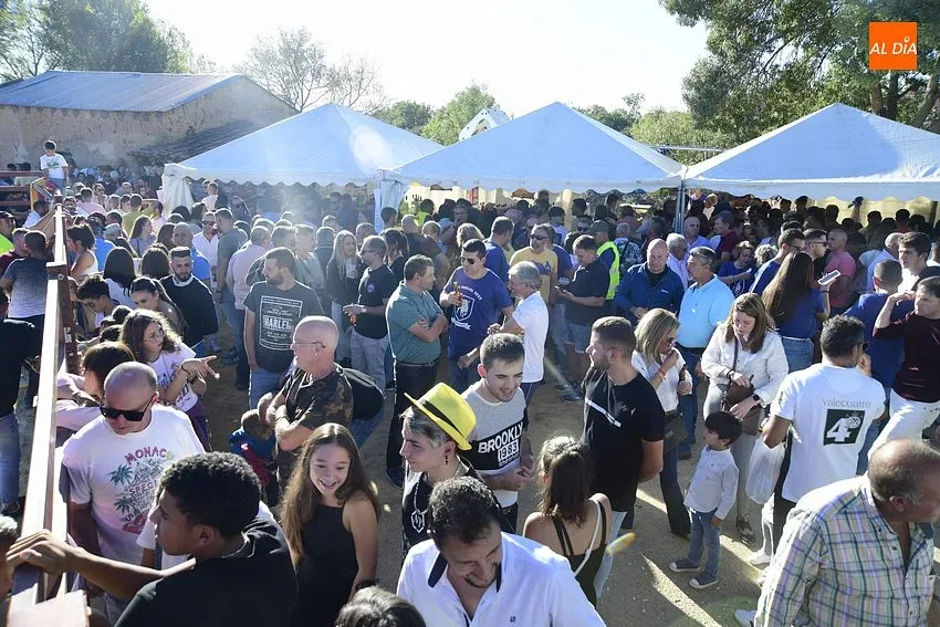Foto 2 - Pedrotoro consolida en sus fiestas la cita taurina a tope de p&uacute;blico