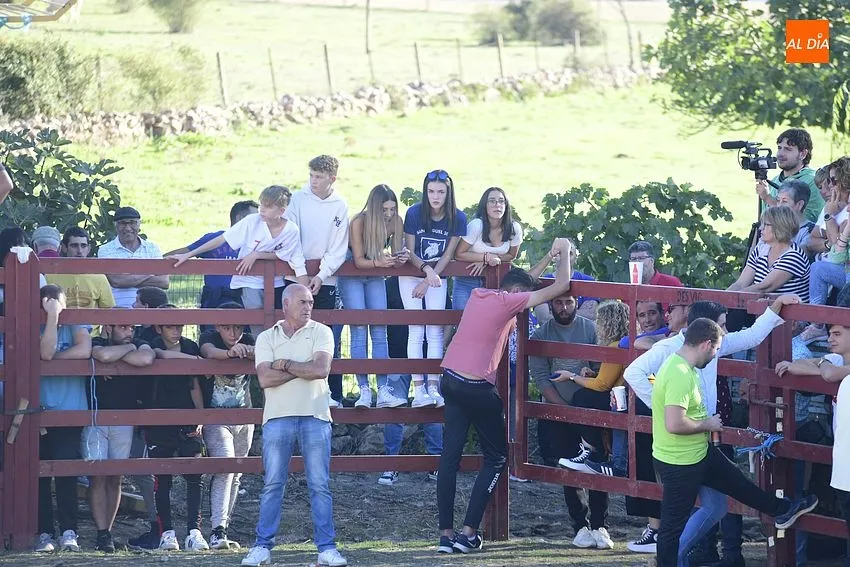 Foto 8 - Pedrotoro consolida en sus fiestas la cita taurina a tope de p&uacute;blico
