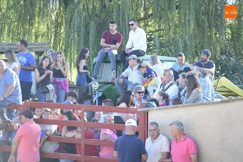 Foto 10 - Pedrotoro consolida en sus fiestas la cita taurina a tope de p&uacute;blico