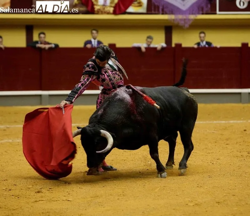 Foto 15 - As&iacute; vio Ricardo Tejedor la Corrida Extraordinaria 'Centenarios Teresianos'