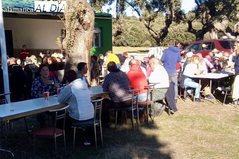 Narros del Castillo acogía las XIV Jornadas Micológicas de Narros del Castillo 