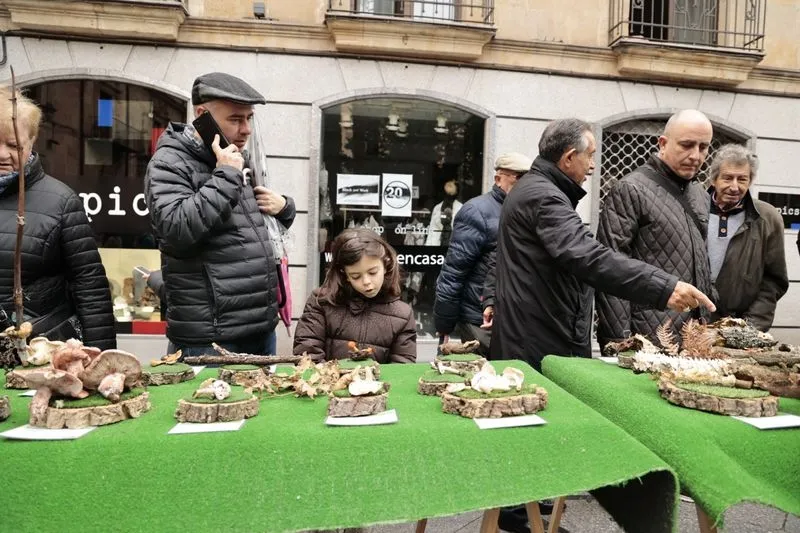 Foto 17 - La micolog&iacute;a llega al centro de Salamanca: as&iacute; ha sido la tradicional exposici&oacute;n de setas