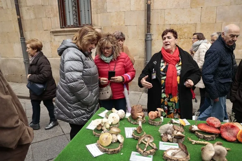 Foto 14 - La micolog&iacute;a llega al centro de Salamanca: as&iacute; ha sido la tradicional exposici&oacute;n de setas