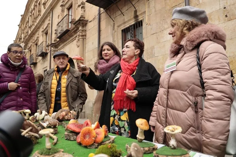 Foto 12 - La micolog&iacute;a llega al centro de Salamanca: as&iacute; ha sido la tradicional exposici&oacute;n de setas