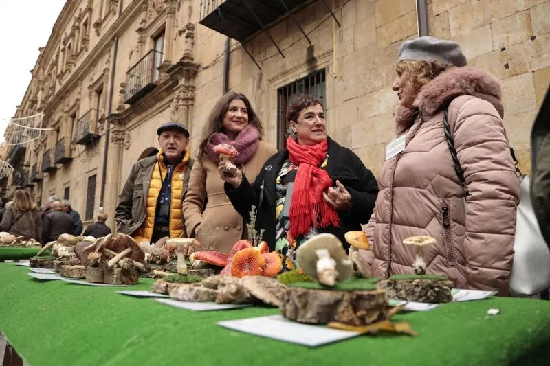 Foto 11 - La micolog&iacute;a llega al centro de Salamanca: as&iacute; ha sido la tradicional exposici&oacute;n de setas