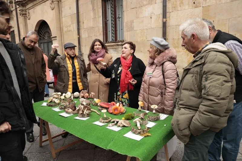 Foto 10 - La micolog&iacute;a llega al centro de Salamanca: as&iacute; ha sido la tradicional exposici&oacute;n de setas