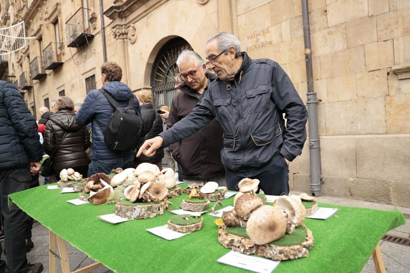 Foto 7 - La micología llega al centro de Salamanca: así ha sido la tradicional exposición de setas