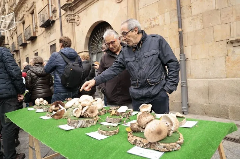 Foto 7 - La micolog&iacute;a llega al centro de Salamanca: as&iacute; ha sido la tradicional exposici&oacute;n de setas