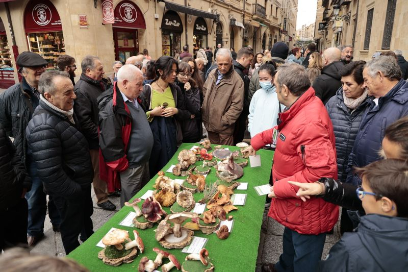 Foto 1 - La micología llega al centro de Salamanca: así ha sido la tradicional exposición de setas